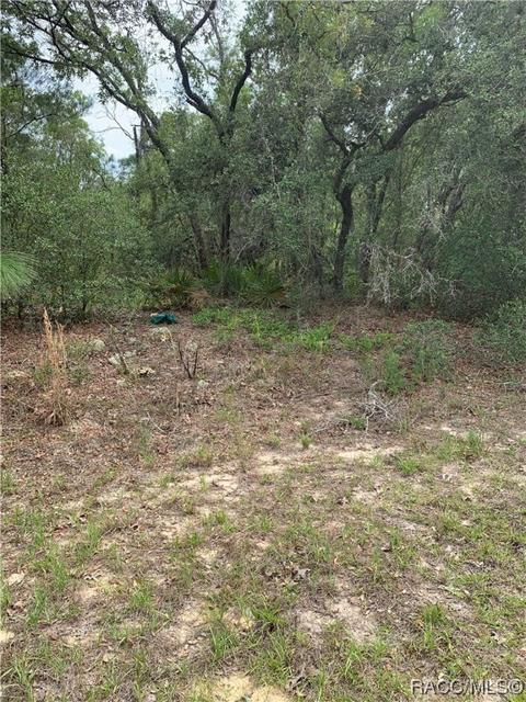 3582 W Parkview Dr, Citrus Springs, FL 34434