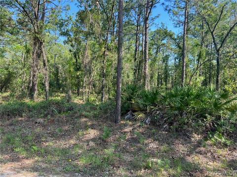 00 SW 90th Pl, Dunnellon, FL 34432