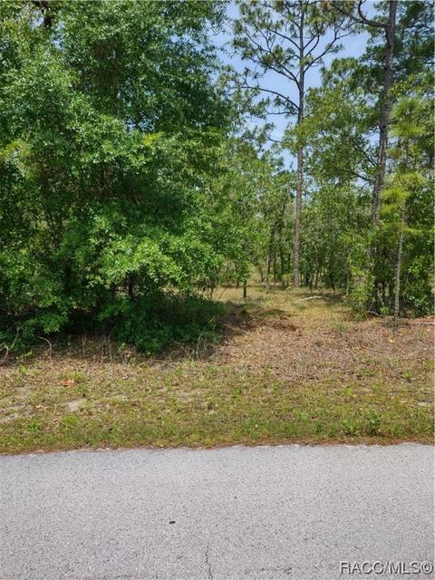 0000 SW Bonable Dr, Dunnellon, FL 34431