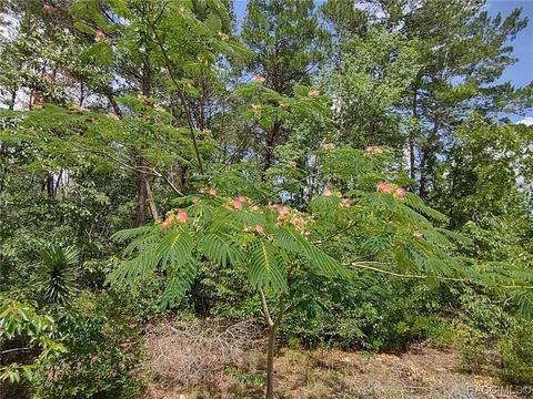 0 SW 42nd Ct, Ocala, FL 34476