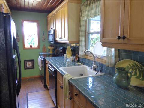 3115 N Wheaton Pt, Hernando, FL 34442 photo 6