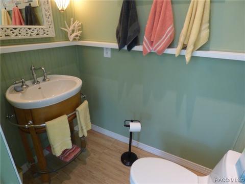 3115 N Wheaton Pt, Hernando, FL 34442 photo 18