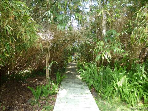 3115 N Wheaton Pt, Hernando, FL 34442 photo 22