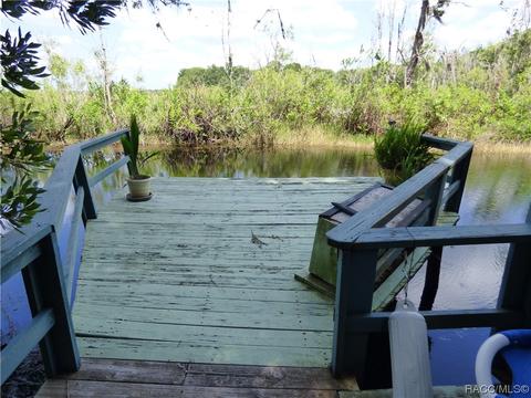 3115 N Wheaton Pt, Hernando, FL 34442 photo 24