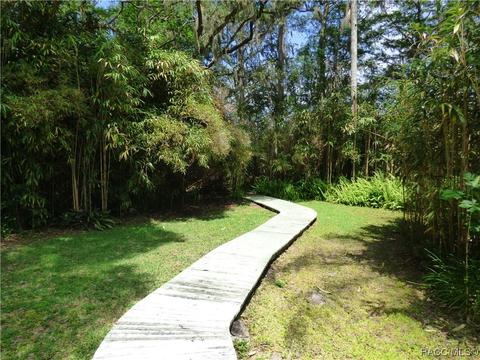 3115 N Wheaton Pt, Hernando, FL 34442 photo 21