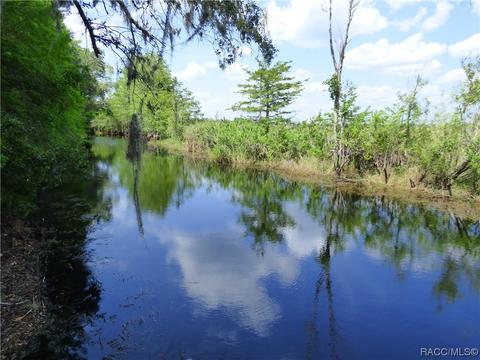 3115 N Wheaton Pt, Hernando, FL 34442 photo 27