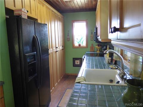 3115 N Wheaton Pt, Hernando, FL 34442 photo 5