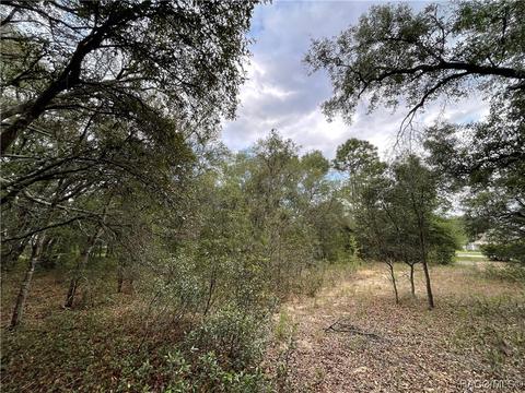 4263 N Longvalley Rd, Hernando, FL 34442 photo 4