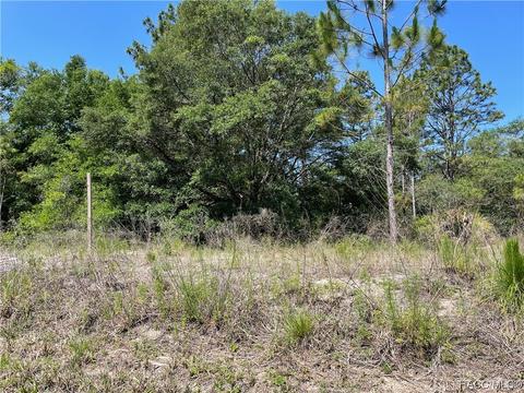 8676 N Citrus Ave, Crystal River, FL 34428