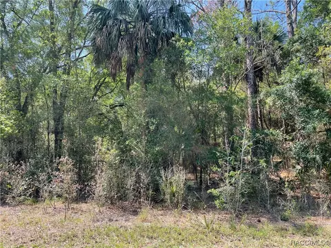 8244 W Basilico St, Crystal River, FL 34428