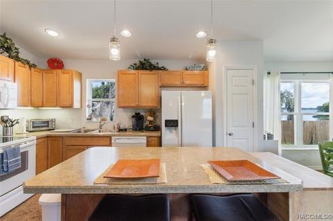 4290 E Lake Park Dr, Hernando, FL 34442 photo 11