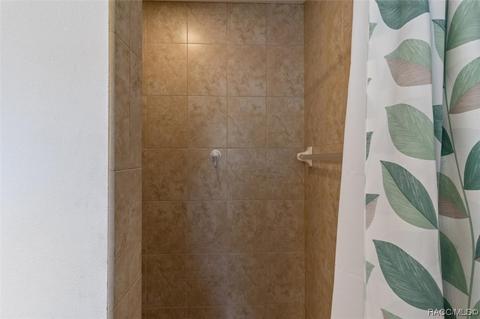 4290 E Lake Park Dr, Hernando, FL 34442 photo 22