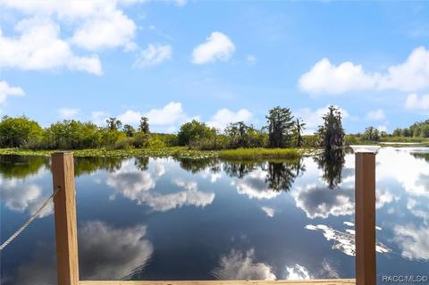 4290 E Lake Park Dr, Hernando, FL 34442 photo 30