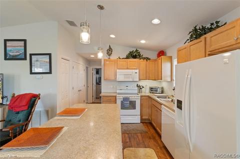 4290 E Lake Park Dr, Hernando, FL 34442 photo 10