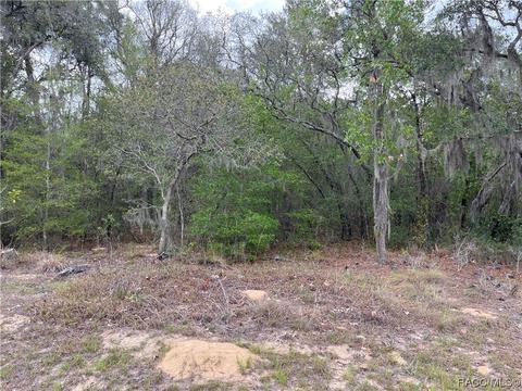 375 E Lancaster St, Lecanto, FL 34461