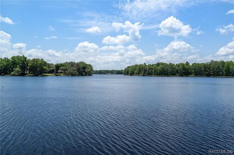 8810 E Hampton Point Rd, Inverness, FL 34450 photo 73