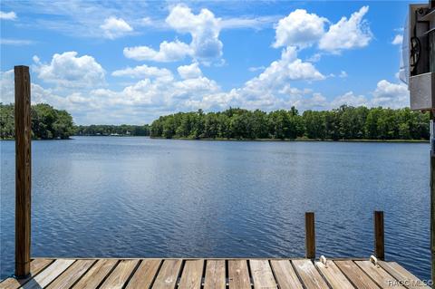 8810 E Hampton Point Rd, Inverness, FL 34450 photo 70