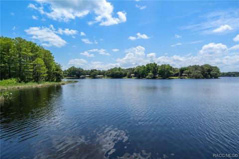 8810 E Hampton Point Rd, Inverness, FL 34450 photo 74
