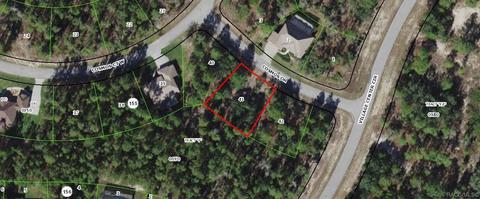 3 Cosmos Dr, Homosassa, FL 34446