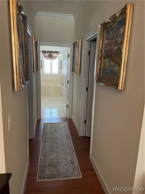 1350 N Man O War Dr, Hernando, FL 34442 photo 36