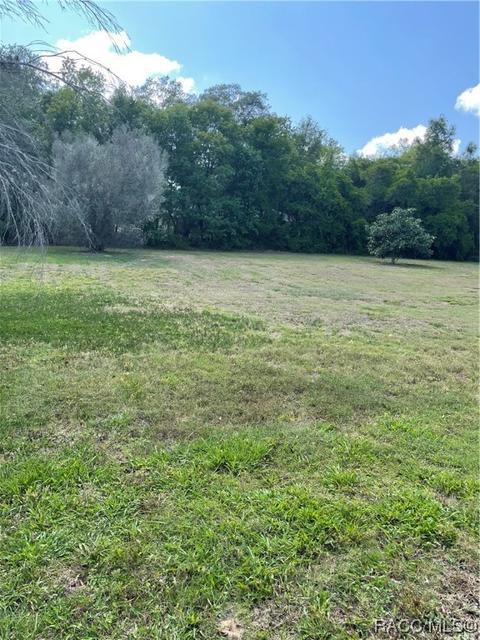 1350 N Man O War Dr, Hernando, FL 34442 photo 45