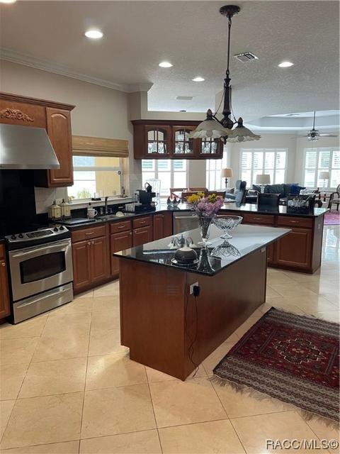 1350 N Man O War Dr, Hernando, FL 34442 photo 13