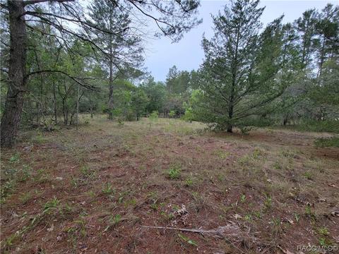 10262 N Brooks Ter, Dunnellon, FL 34433