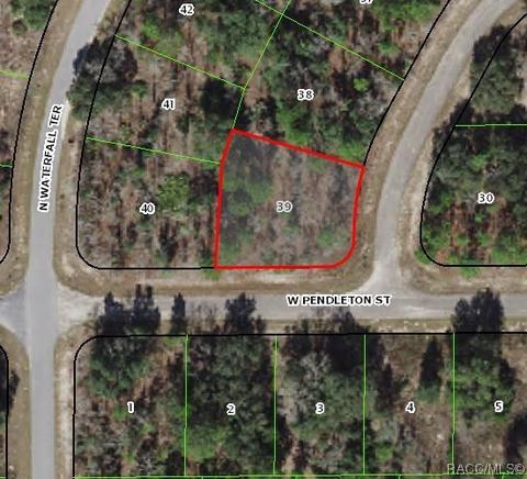 6799 N Darlington Dr, Citrus Springs, FL 34434