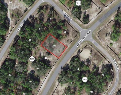 11482 N G Martinelli Blvd, Citrus Springs, FL 34433