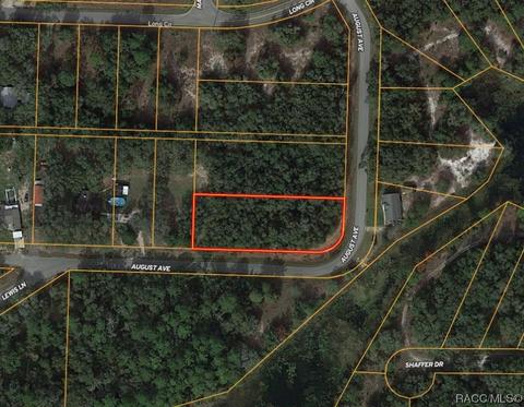 0000 August Ave, Webster, FL 33597