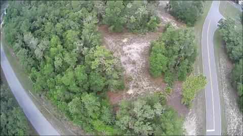 34048 Long Cir, Webster, FL 33597