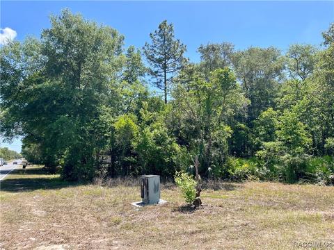 6924 W Homosassa Trl, Homosassa, FL 34448