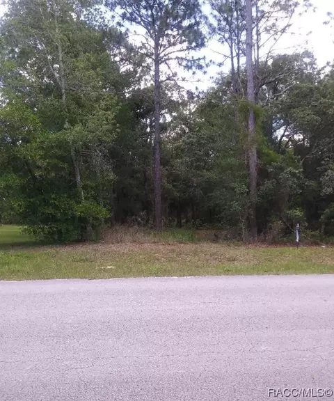 1255 N Lombardo Ave, Lecanto, FL 34461
