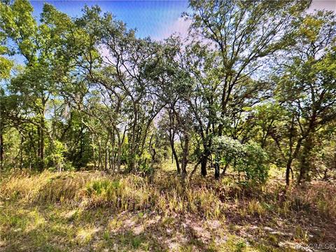 6157 N Buckland Dr, Citrus Springs, FL 34434