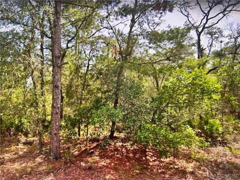 6169 N Buckland Dr, Citrus Springs, FL 34434
