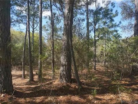 11735 W Cornflower Dr, Crystal River, FL 34428