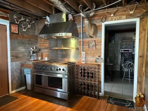 3621 E Onyx Pl, Hernando, FL 34442 photo 30