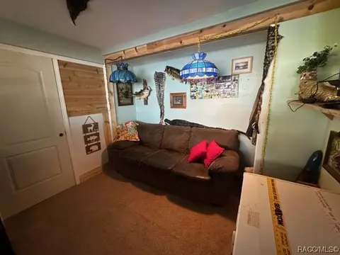 3621 E Onyx Pl, Hernando, FL 34442 photo 49