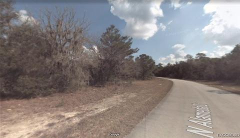 8892 N Alameda Dr, Citrus Springs, FL 34434