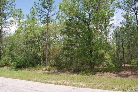 3909 W Findlay St, Citrus Springs, FL 34433