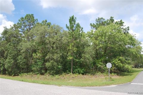 2788 W Ventura Ln, Citrus Springs, FL 34433