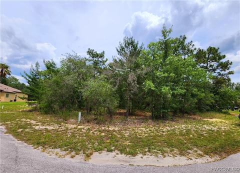 12 Euphorbia Ct, Homosassa, FL 34446