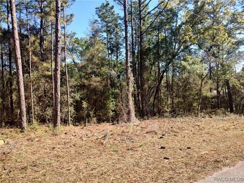 1828 W Stafford St, Hernando, FL 34442 photo 1