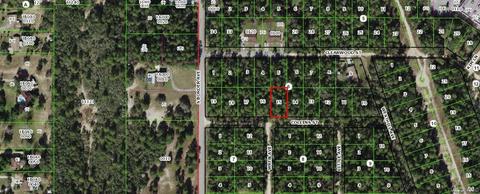 2910 Collins St, Inverness, FL 34452