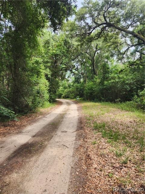 175 She She Rd, Hawthorne, FL 32640