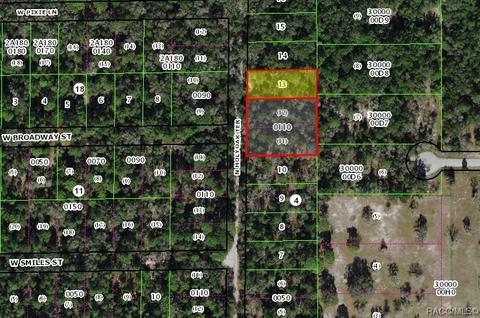 10151 10175 N Holyoak Ter, Dunnellon, FL 34433