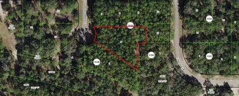220 E Panama Dr, Citrus Springs, FL 34434