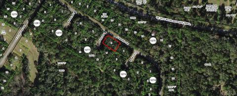 9917 N Rio Pt, Citrus Springs, FL 34434