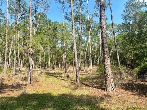 4998 Unnamed Way, Hernando, FL 34442 photo 2