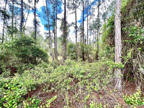 4998 Unnamed Way, Hernando, FL 34442 photo 3
